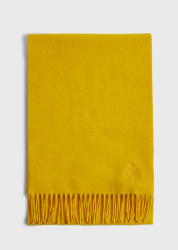 Cashmere Scarf With Fringe
