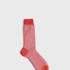 Cotton Horizontal Stripe Sock