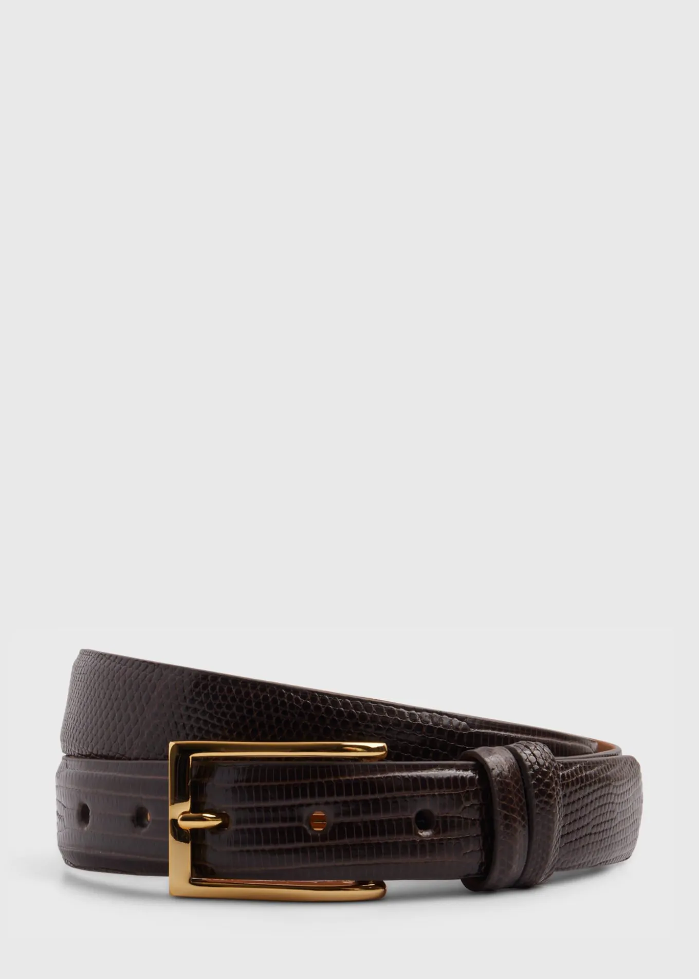 lizard_belt_0.webp Lizard Belt