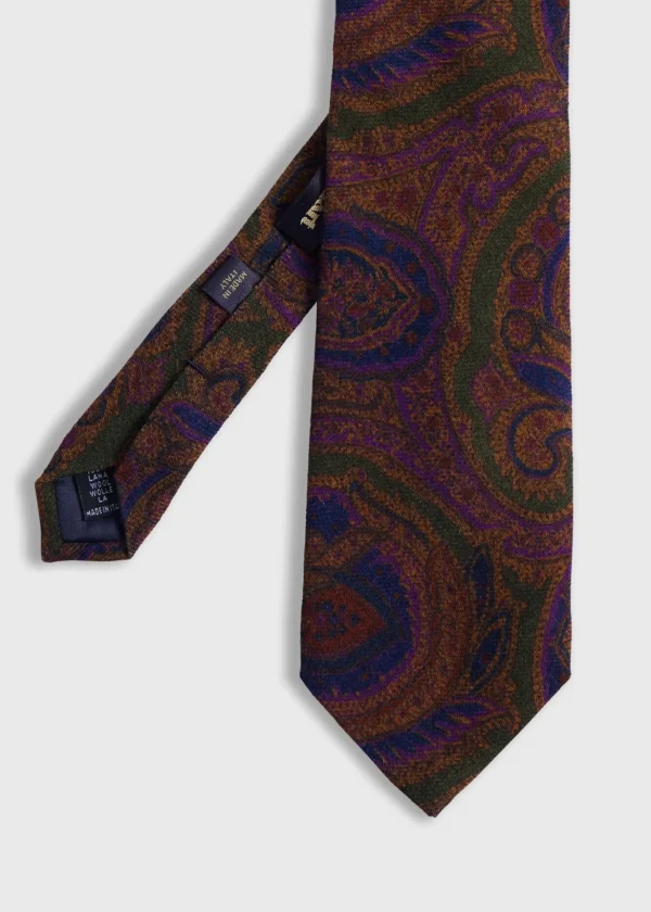Printed Wool Paisley Tie