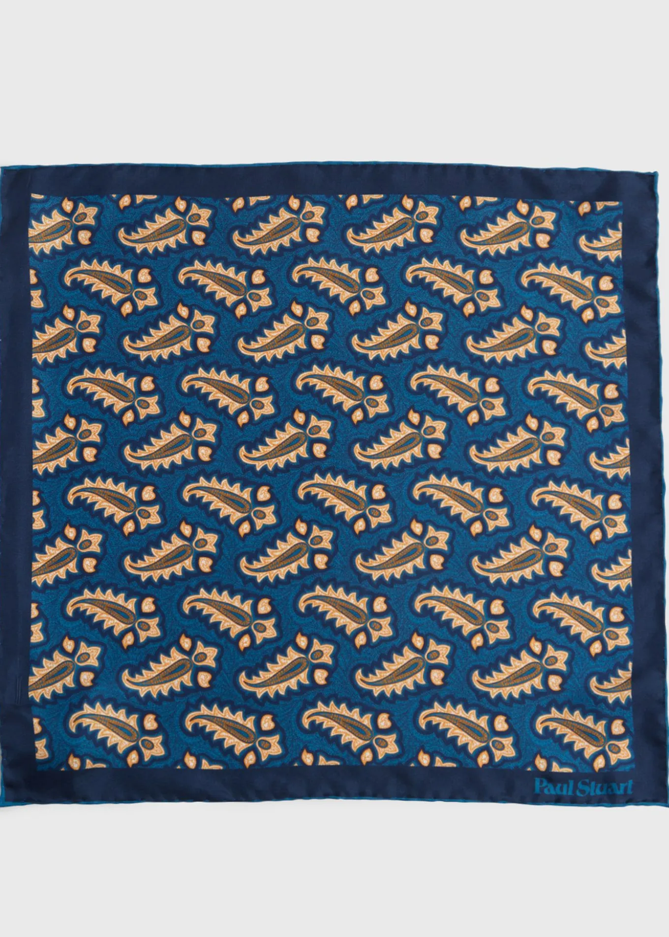 silk_tossed_paisley_medal_1.webp Silk Tossed Paisley Medallion Pocket Square