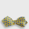 Silk Twill Tossed Paisley Bow TIe