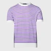 Stripe Knit Short Sleeve Crewneck